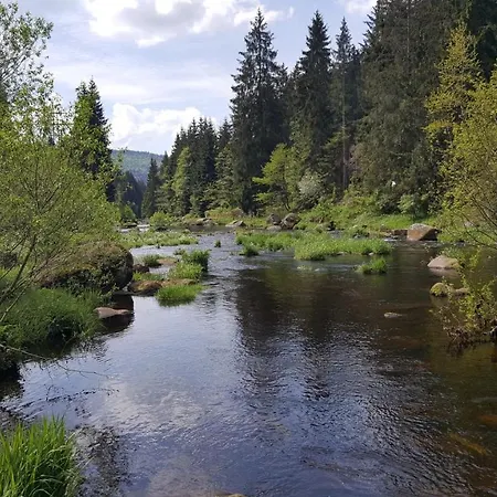 Kienberg Pod Lipenskou Hrazi